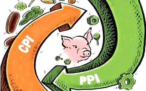 11月天津CPI环比降0.6% 猪肉价格同比降幅达14.1%