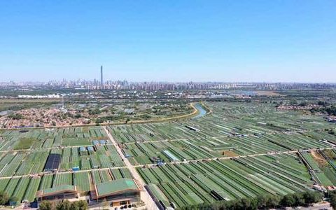 全国优质农产品追溯大数据平台落户天津西青