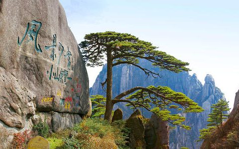 旅游景区预约常态化：“能约尽约”错峰游览