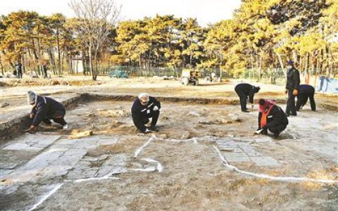 圆明园首次发现皇家稻田遗址