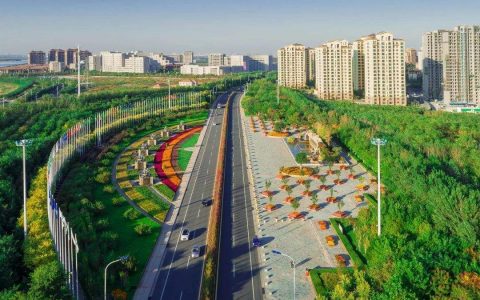 中新天津生态城18b剩余L型地块将规划为公屋项目