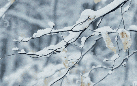 天津小雪雾霾接踵而来