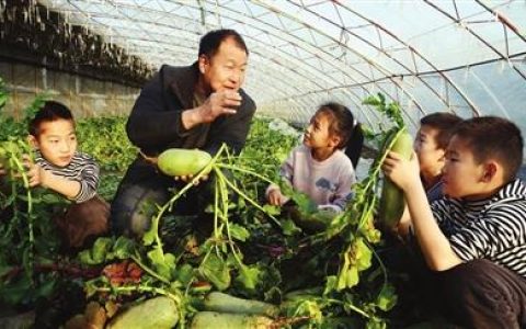 天津农业科技人员加快新品种选育助农增收侧记
