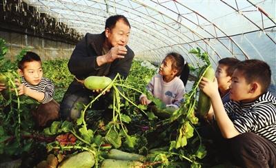 天津农业科技人员加快新品种选育助农增收侧记
