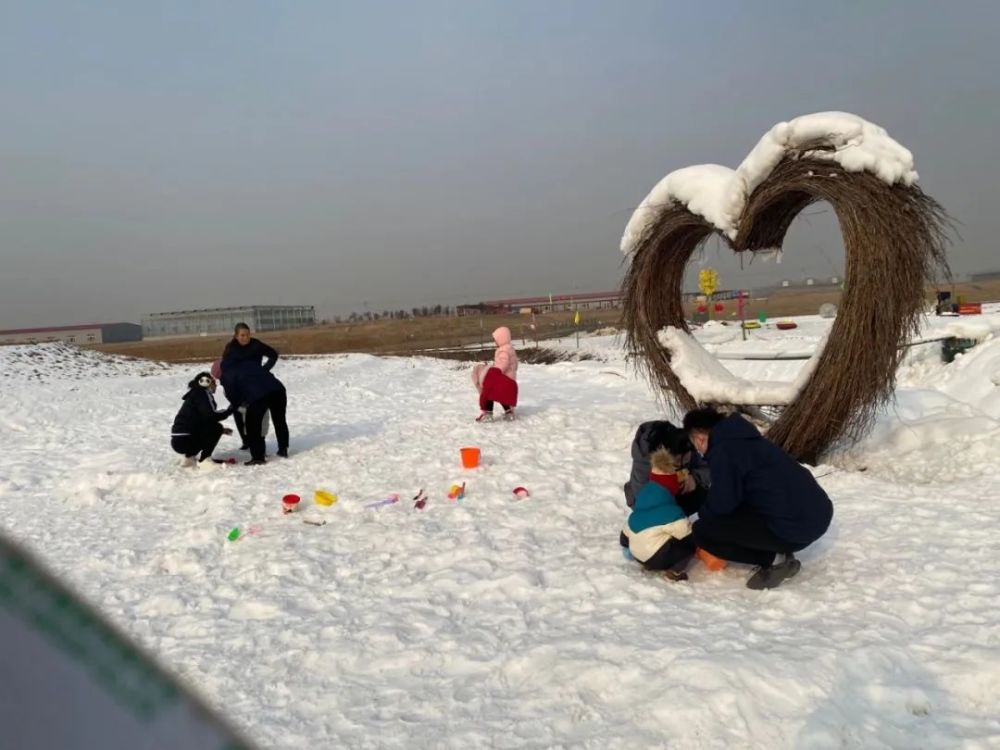 放假喽！“神兽们”来西青坐雪橇 游冰雪世界吧......