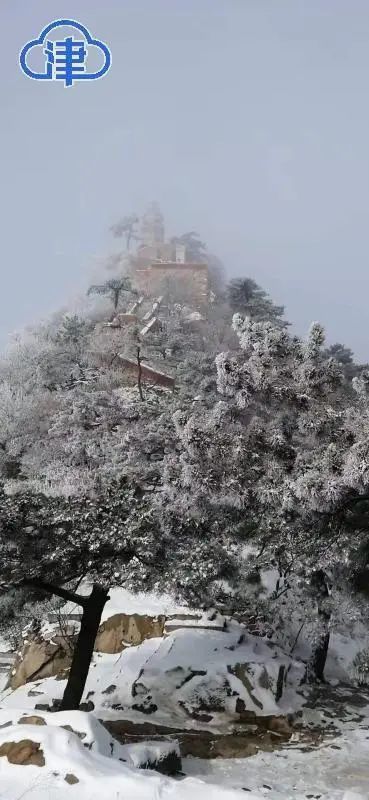 雪？原来都下在这儿了！本周津城还有一次大幅降温！