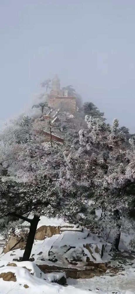 天津大雾预警！这些高速入口封闭！明儿又要变天！