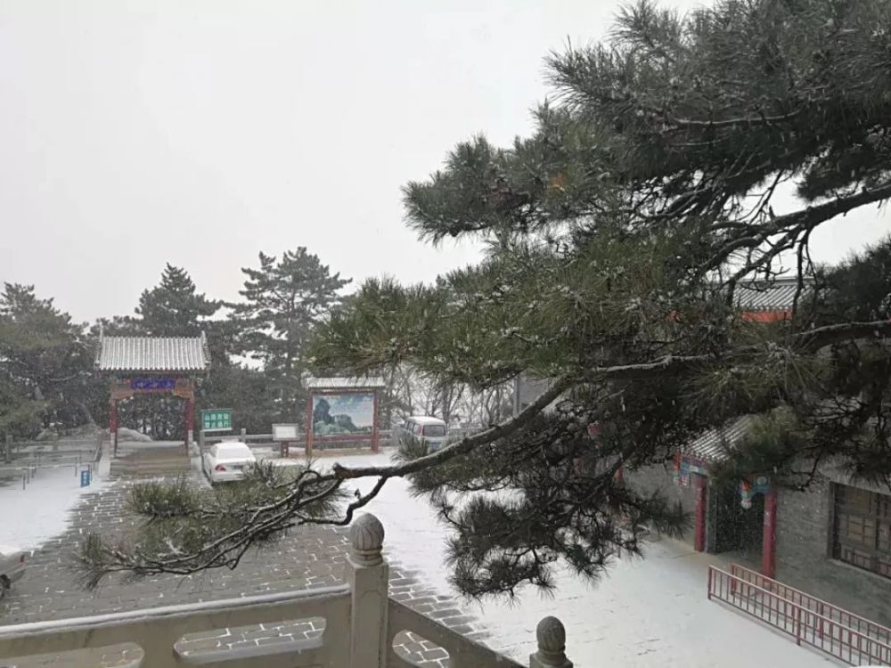 天津大雾预警！这些高速入口封闭！明儿又要变天！