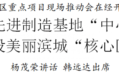 天津滨海新区重点项目现场推动会在经开区召开