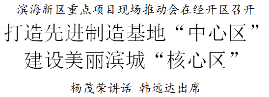 天津滨海新区重点项目现场推动会在经开区召开