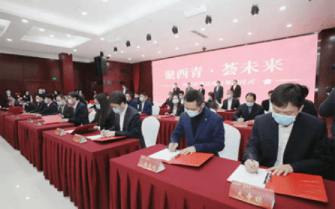 重磅！总投资115亿元！34个大项目落户天津西青区