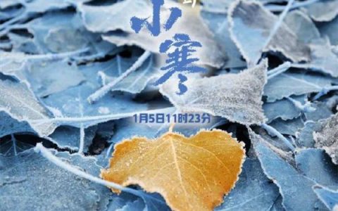 -20℃＋9级大风！天津今年首个寒潮来了！
