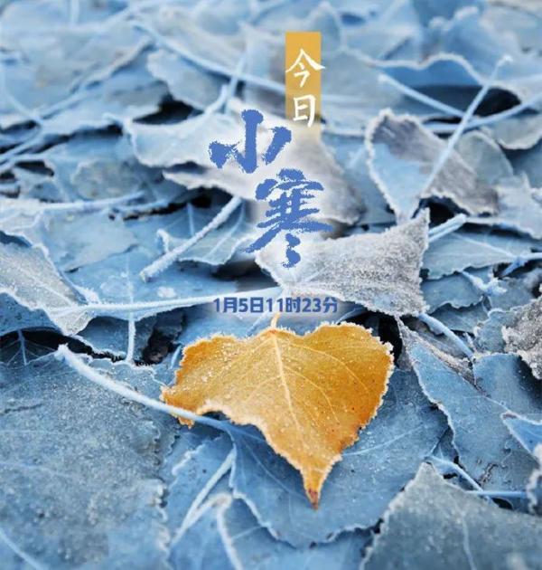 -20℃＋9级大风！天津今年首个寒潮来了！