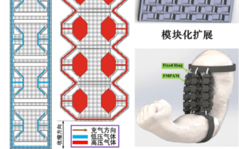 天津大学最新研发：3D打印软性机器人