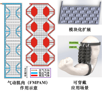 天津大学最新研发：3D打印软性机器人