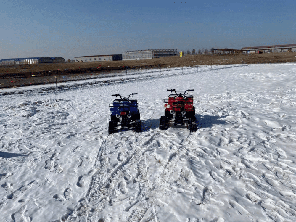 放假喽！“神兽们”来西青坐雪橇 游冰雪世界吧......