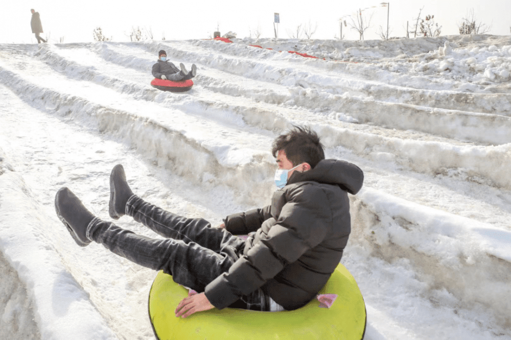 放假喽！“神兽们”来西青坐雪橇 游冰雪世界吧......