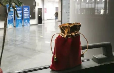 天津大学的自行车、树梢上 “长” 出了一份冬日礼物！你收到了吗？