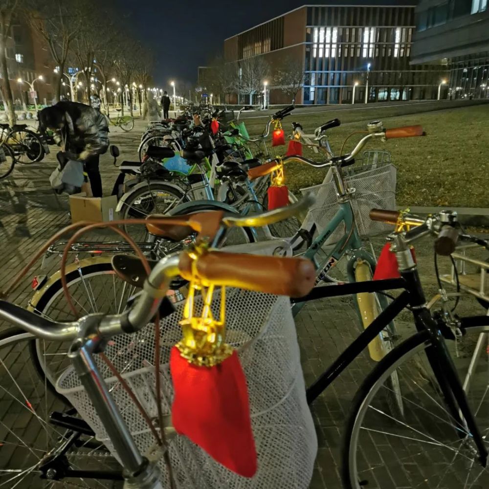 天津大学的自行车、树梢上 “长” 出了一份冬日礼物！你收到了吗？