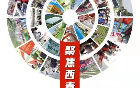 读懂了这张图，你才真正读懂了西青……