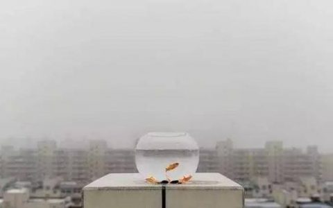 元旦假期后两天回暖成主调 华北等地霾出没