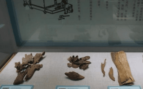 天津沉香艺术博物馆推出主题文化特展