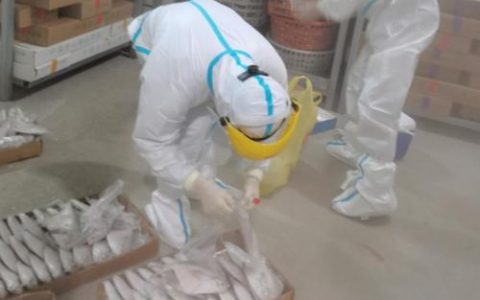 天津进口货物、冷链食品从业人员离职离岗实施“7+7”分类健康管理