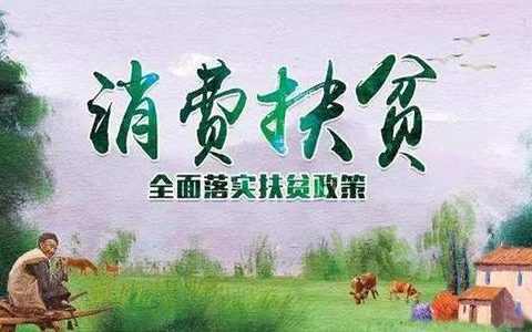 天津消费扶贫联盟扶贫交易8000万元