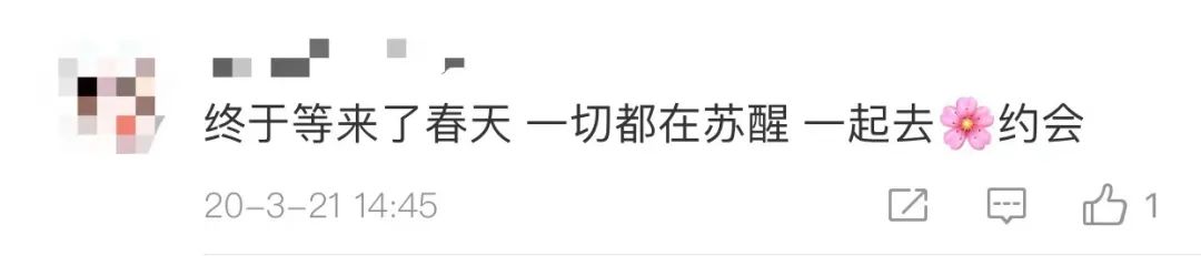 武汉樱花，开了！