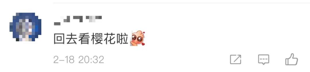 武汉樱花，开了！