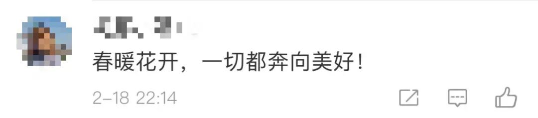 武汉樱花，开了！