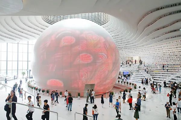 “津滨”双城发展，天津这样打造！