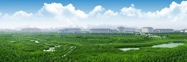 “津滨”双城发展，天津这样打造！