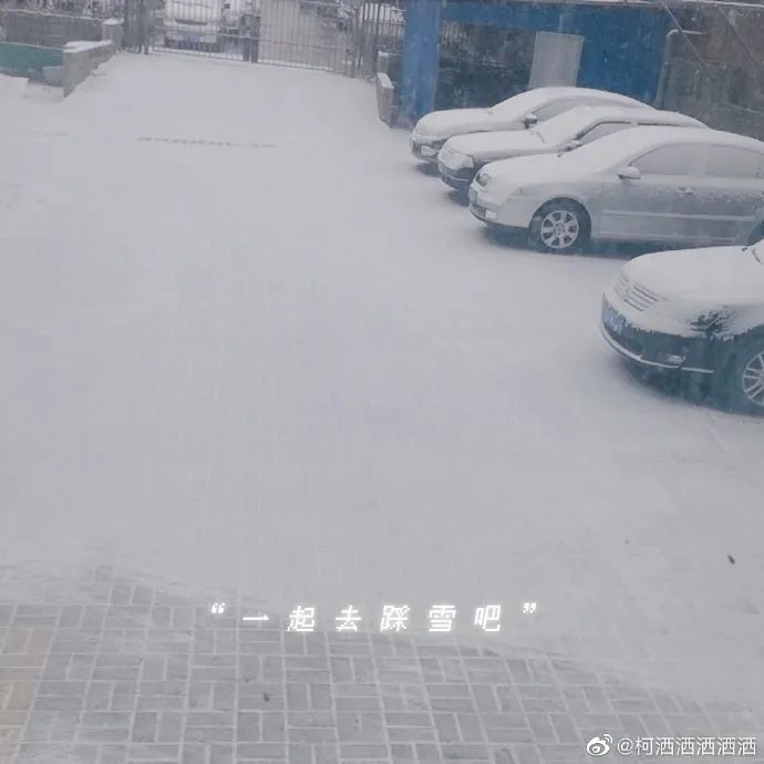 春雪，真的来了！蓟州下雪了，天津市区还有戏吗？