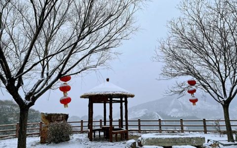 春雪，真的来了！蓟州下雪了，天津市区还有戏吗？