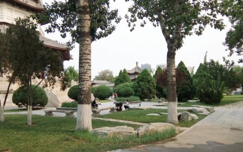 天津一公园被“4A”砸中，被称天津“后花园”，门票免费地铁直达