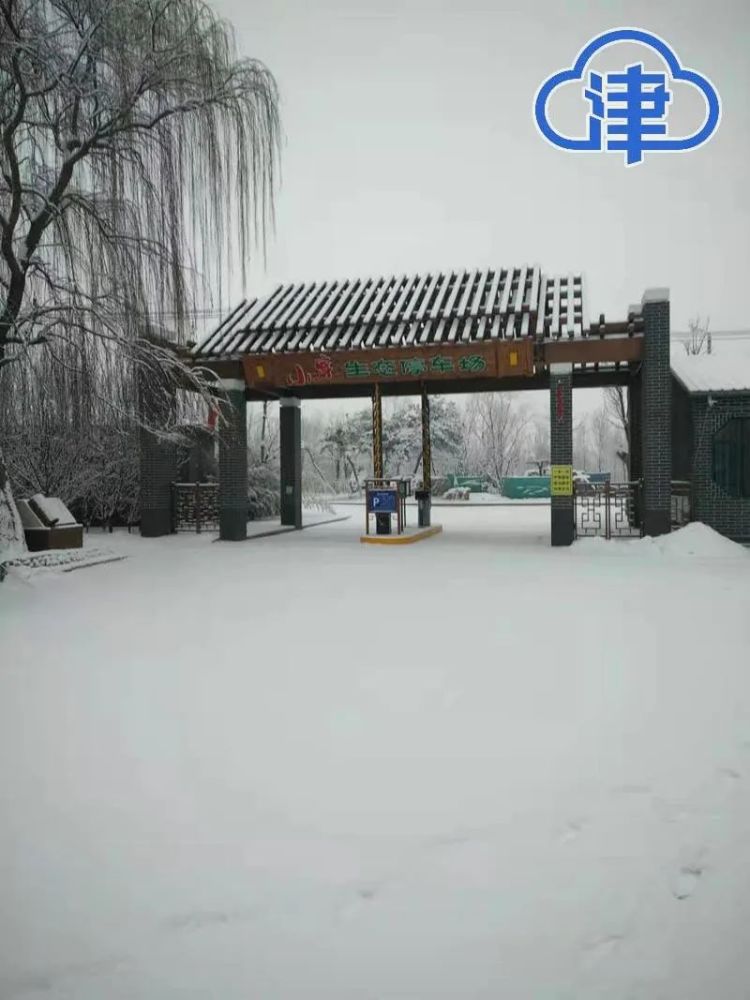 春雪，真的来了！蓟州下雪了，天津市区还有戏吗？