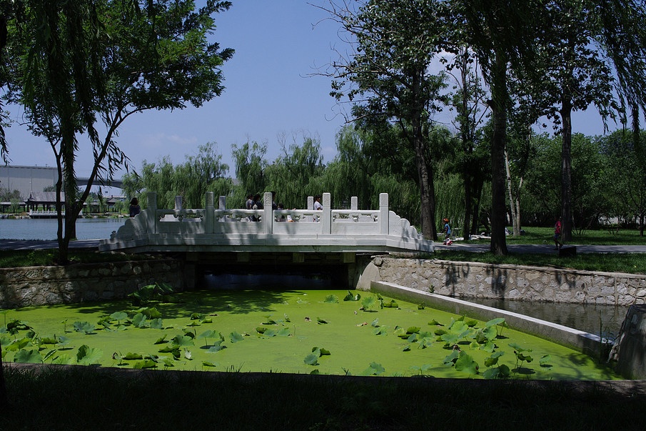 天津一公园被“4A”砸中，被称天津“后花园”，门票免费地铁直达