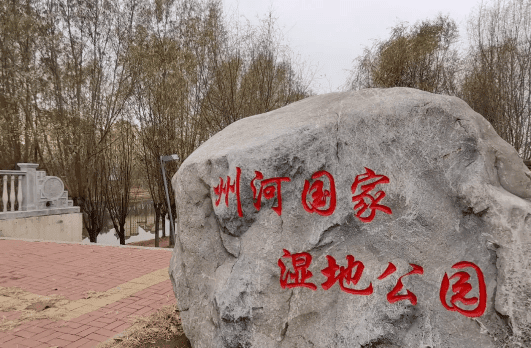 春暖花开，为天津人的生活添点儿“绿”！
