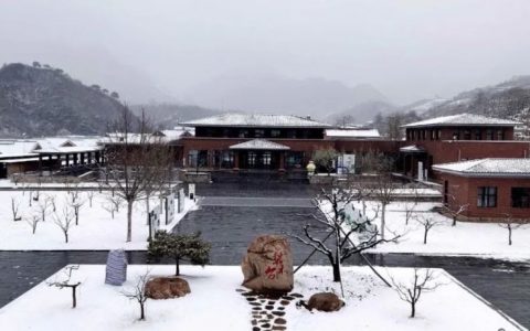 牛年的第一场雪，唤醒了蓟州“梨木台”