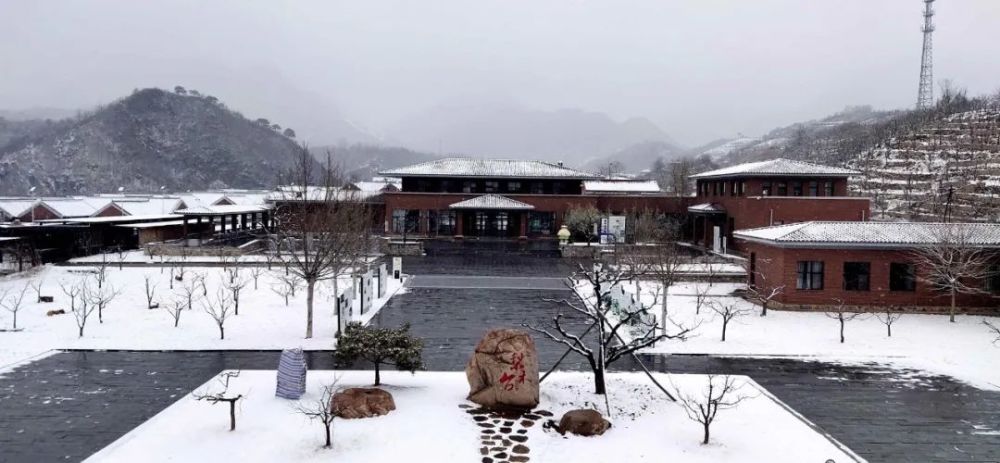 牛年的第一场雪,唤醒了蓟州“梨木台”