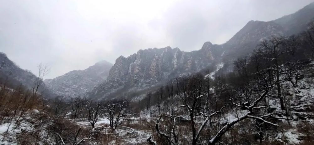 牛年的第一场雪，唤醒了蓟州“梨木台”