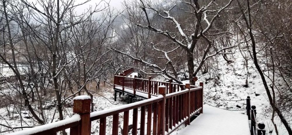 牛年的第一场雪，唤醒了蓟州“梨木台”