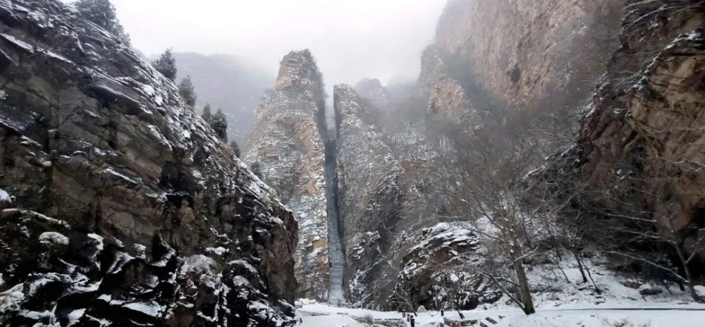 牛年的第一场雪,唤醒了蓟州“梨木台”