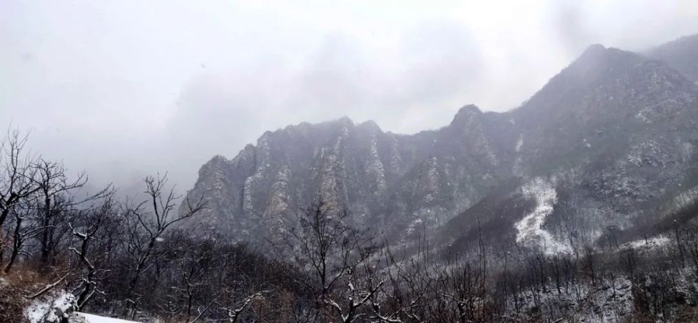 牛年的第一场雪，唤醒了蓟州“梨木台”