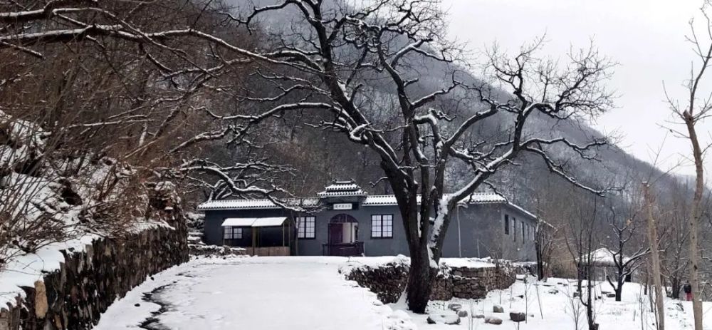 牛年的第一场雪,唤醒了蓟州“梨木台”