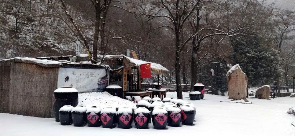 牛年的第一场雪,唤醒了蓟州“梨木台”