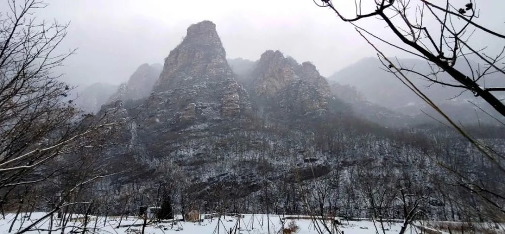 牛年的第一场雪，唤醒了蓟州“梨木台”