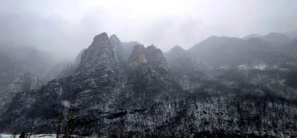牛年的第一场雪,唤醒了蓟州“梨木台”