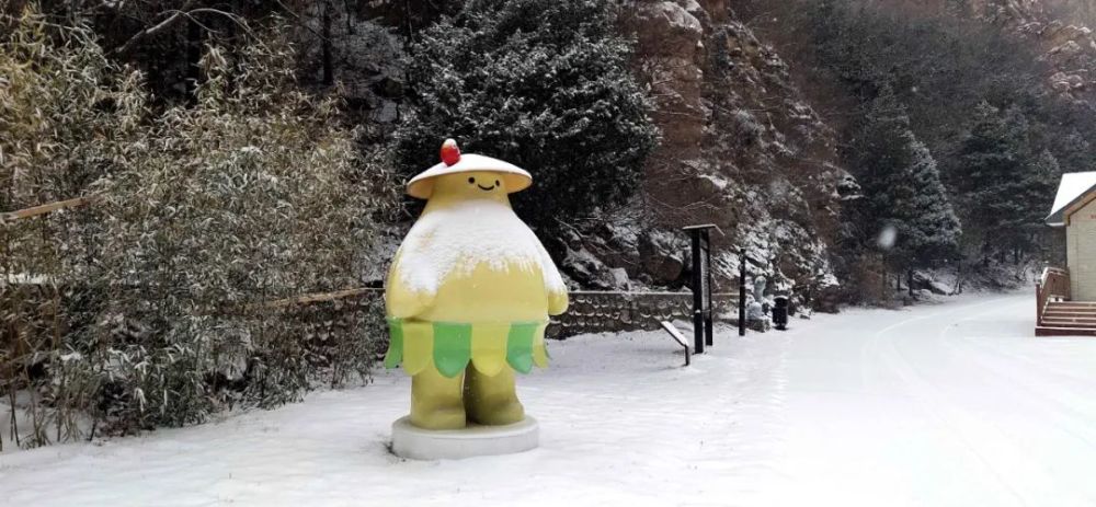 牛年的第一场雪,唤醒了蓟州“梨木台”